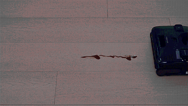 11.gif