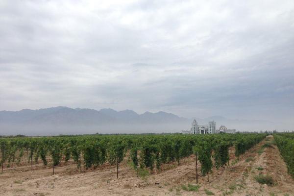 首届澳中酿酒师沉浸式交流项目将于十月举行