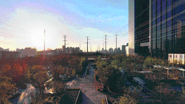 DJI05.gif
