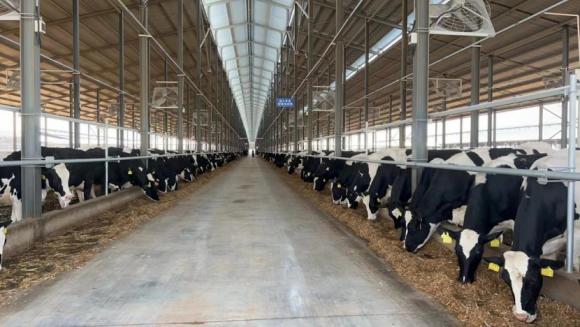 晨光乳业，一部“深圳精神”的乳业奋斗史 