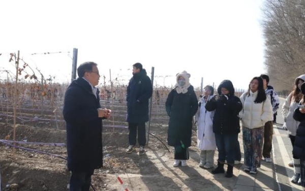 葡萄酒推荐，清北学子走进长城桑干酒庄开展通识实践