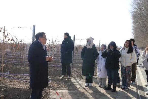 葡萄酒推荐，清北学子走进长城桑干酒庄开展通识实践 