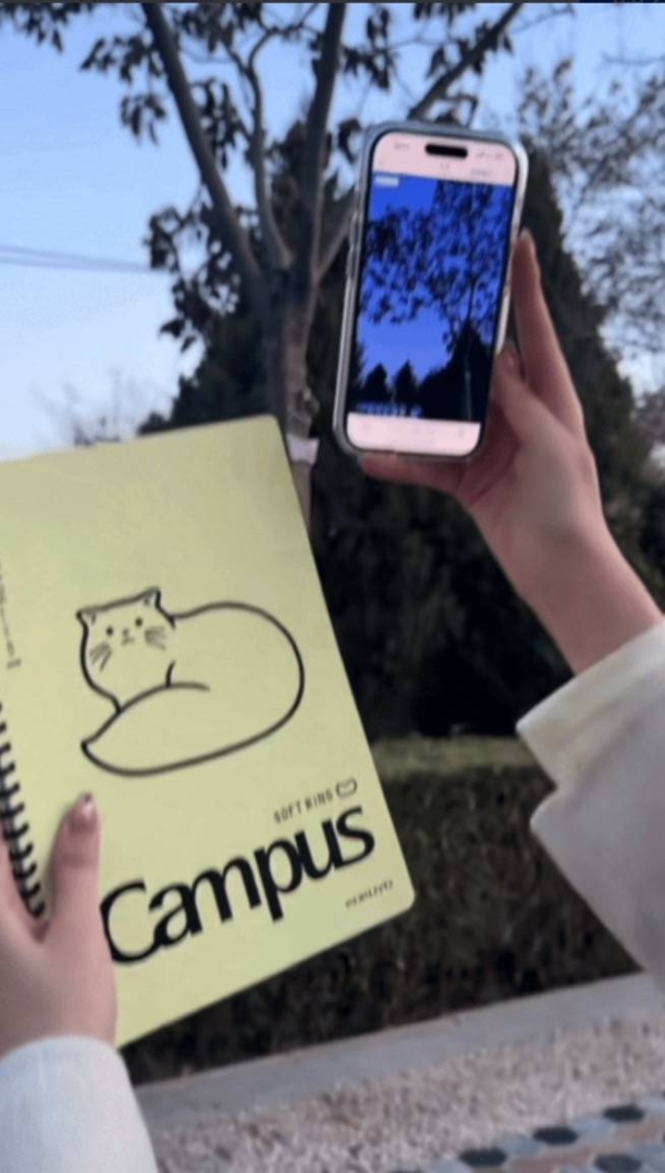 下楼走走，捡了一兜颜色回家 