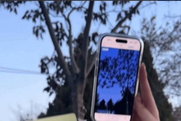 下楼走走，捡了一兜颜色回家 