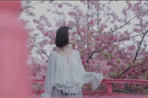 下楼走走，捡了一兜颜色回家 