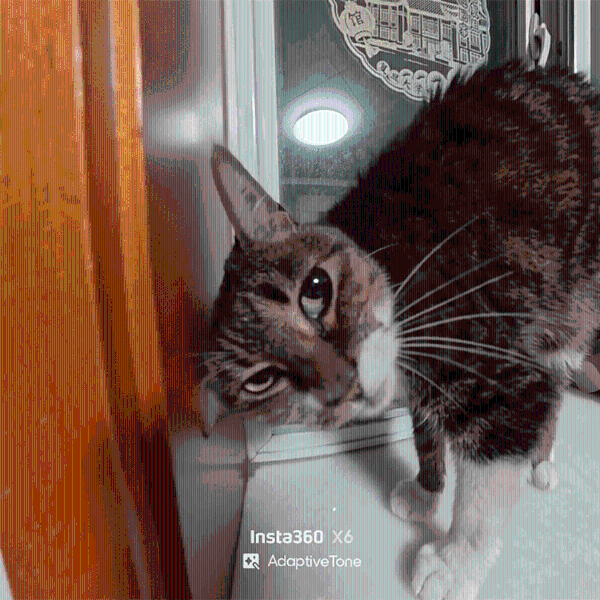 11.gif