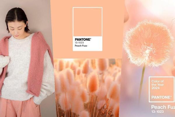 2024 PANTONE（潘通）色公布！Peach Fuzz柔和桃温暖梦幻，UNIQLO、ZARA就买的到！