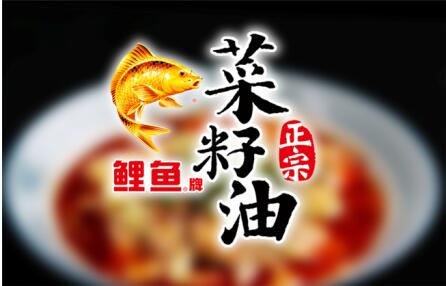 古格王朝挖掘產品核心價值打造鯉魚牌菜籽油高端食品品牌形象