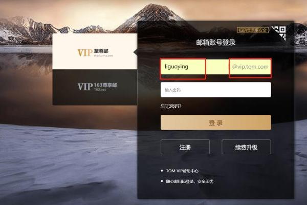 商务邮箱一般用什么邮箱正式？VIP邮箱名怎么设置好？_TOM资讯