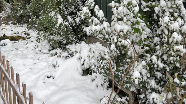 大范围雨雪再次来袭！8省有大到暴雪，京津冀等地有雾，出行注意事项