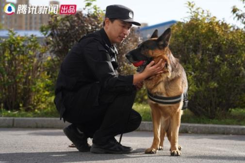  腾讯新闻出品警犬微纪录片《了不起的它》今日上线