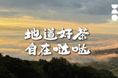 云南海龙茶业哒哒的茶企业家茶修会暨华南运营中心成立仪式
