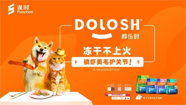 都乐时Dolosh亮相ICE超级猫展南京站， 功能营养为赛级猫助阵！