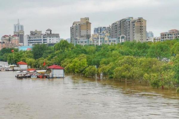 陕西一地遭50年一遇特大暴雨侵袭！汛期如何做好防汛防涝工作？