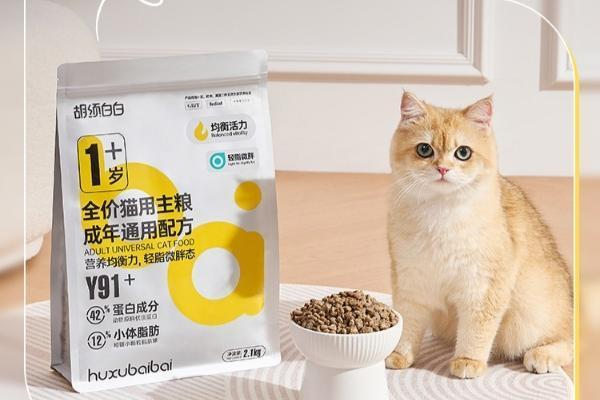  胡须白白Y91+全价猫主粮新品来袭，呵护猫咪健康营养成长