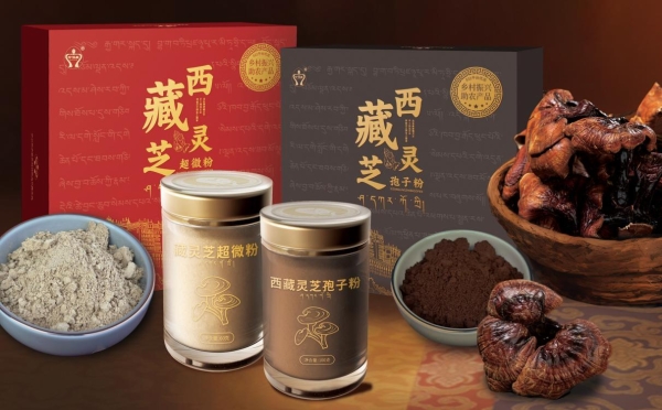 上海慧聚源携手尼木藏贝：以灵芝绘就农特产业新篇