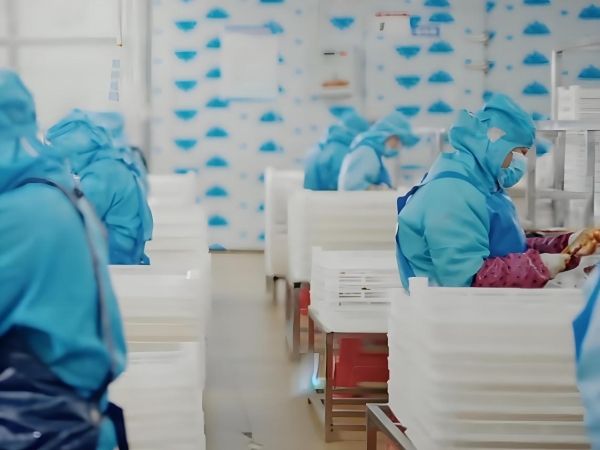 食品安全焦虑下，围满停车场烧烤如何交出源头答卷？