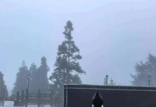 从斯里兰卡到青城山:羊爸爸松果公益在雨雾中为身心“松绑”