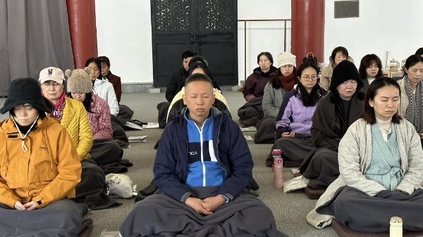 从斯里兰卡到青城山:羊爸爸松果公益在雨雾中为身心“松绑”