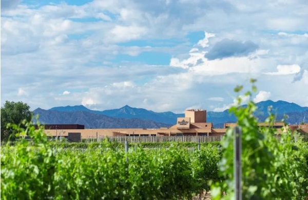 葡萄酒选择推荐，长城桑干以现代智慧赋能品质