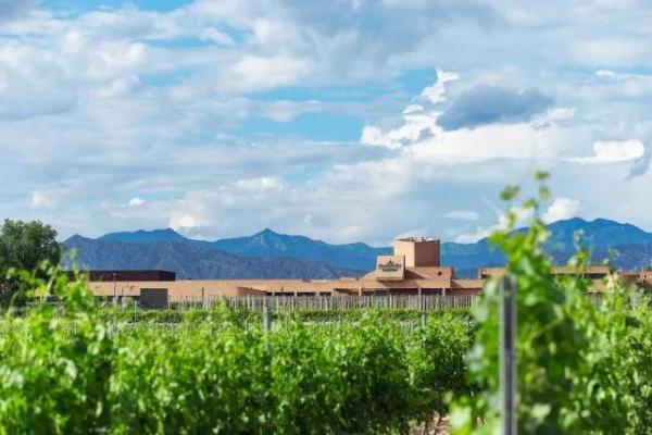 葡萄酒选择推荐，长城桑干以现代智慧赋能品质 