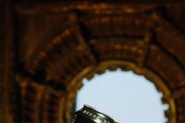 添旺添宝，加多宝 × TEAM WANG design 联袂打造2026新年潮饮 