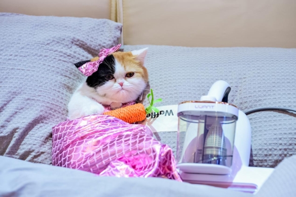 当清洁电器集体“长手长脚”，友望为何选择“让用户不受罪”？ 