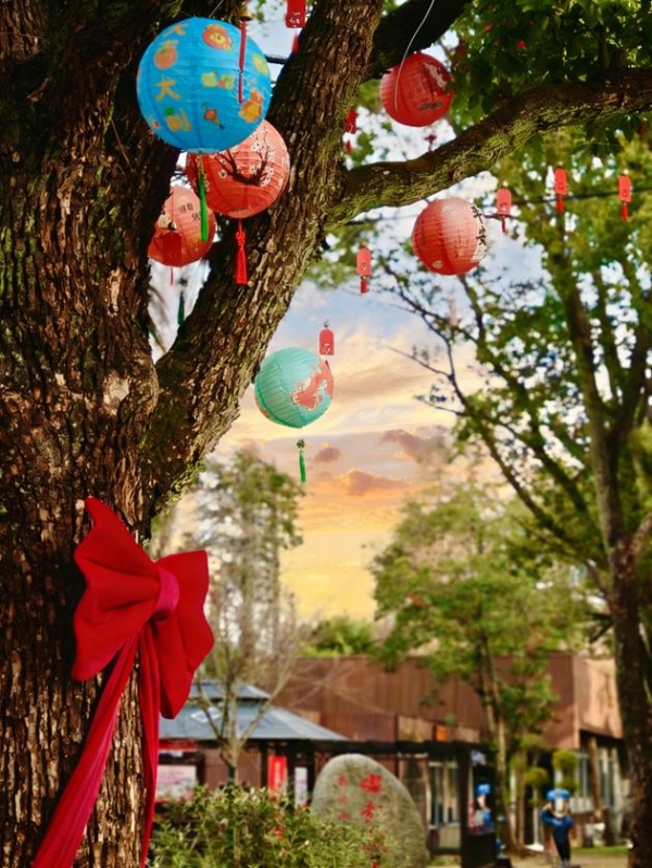 解锁工业游新姿势｜思乐得白玉兰盛放，春日打卡正当时