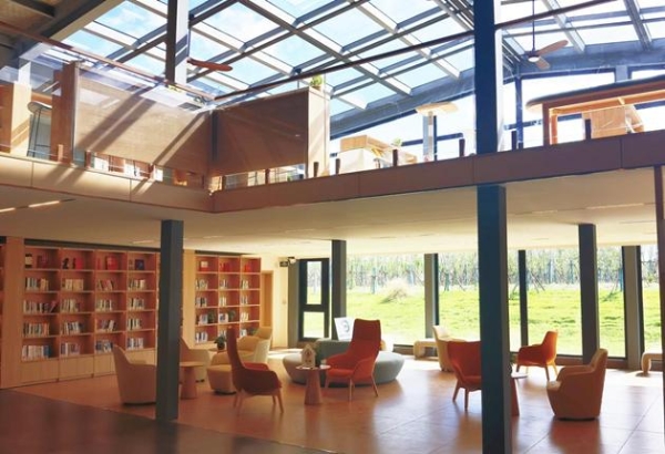 解锁工业游新姿势｜思乐得白玉兰盛放，春日打卡正当时