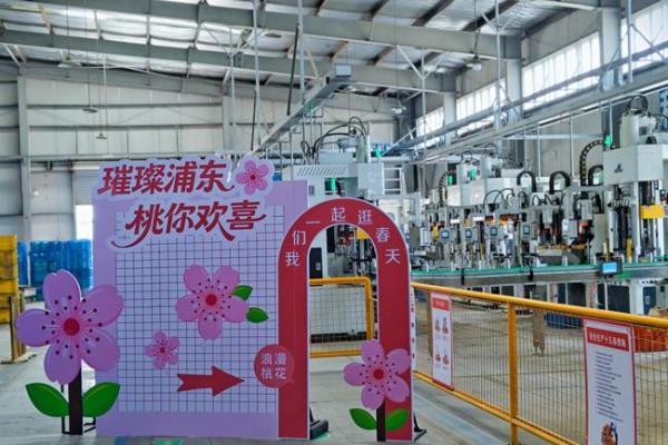 璀璨浦东，“桃”你欢喜——思乐得桃花节分会场，邀您看三朵别样的桃花！ 