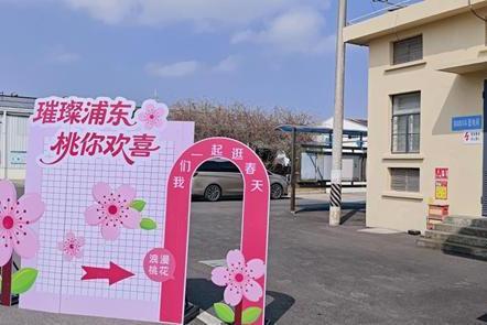 璀璨浦东，“桃”你欢喜——思乐得桃花节分会场，邀您看三朵别样的桃花！ 