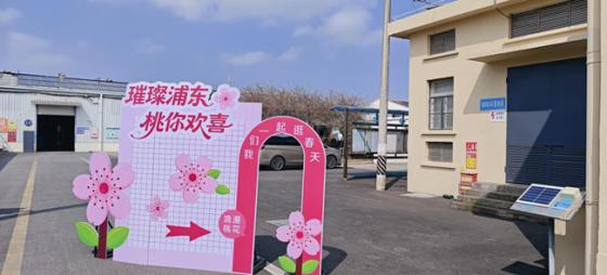璀璨浦东，“桃”你欢喜——思乐得桃花节分会场，邀您看三朵别样的桃花！