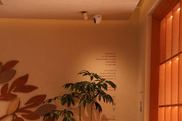 野人先生发布品牌升级，以“东方Gelato”重构品牌表达与品类认知 