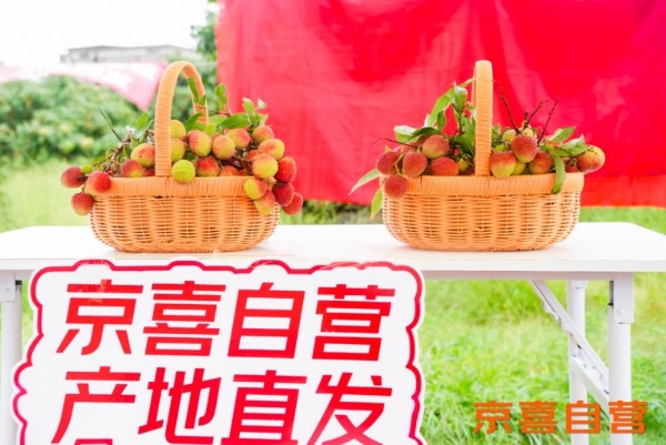 京东京喜首个生鲜基地落户广东 助力茂名荔枝走向全国 