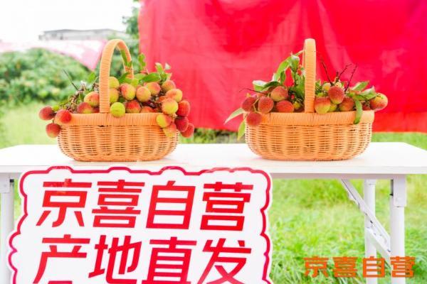 京东京喜首个生鲜基地落户广东 助力茂名荔枝走向全国 