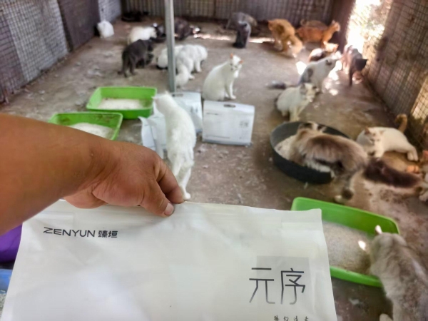 5吨猫砂驰援流浪基地！ “臻垣致远·毛孩子守护计划”首站落地郑州 