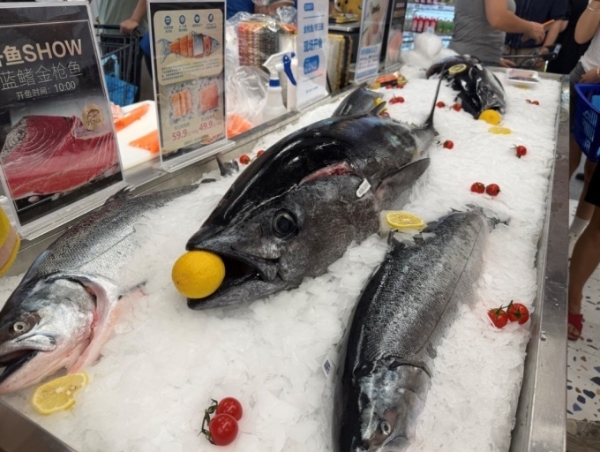 盒马鲜生宁波镇海、绍兴柯桥双店同日开业