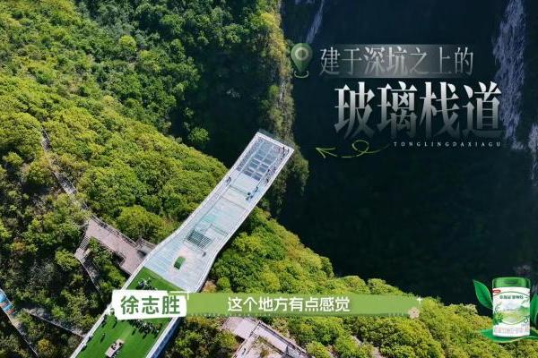 爱奇艺《户外成长计划》6月16日首播 明星拾光团探秘广西天坑 以勇气叩响地心之门