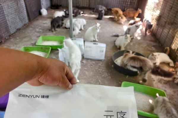 5吨猫砂驰援流浪基地！ “臻垣致远·毛孩子守护计划”首站落地郑州 
