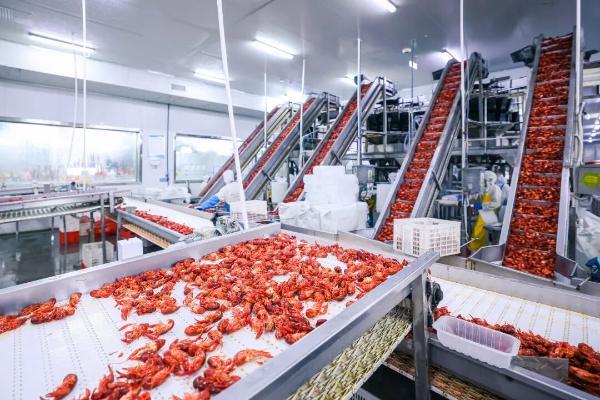研发猛增、利润下降，拼多多换打法？