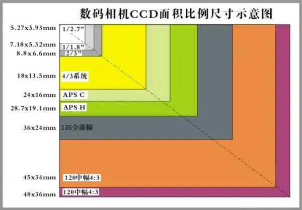 逐渐离谱 消息称有厂商定制M43画幅主摄 比1英寸还大