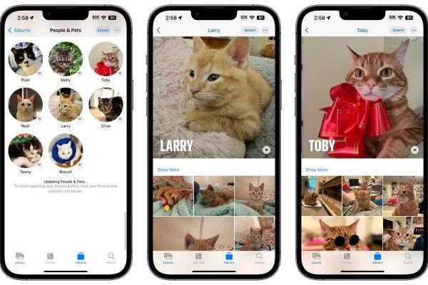 iOS 17改进了iPhone的图像识别能力 可以识别宠物了