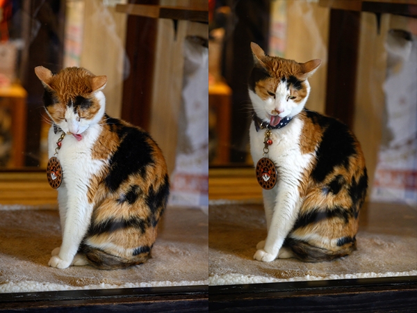 DSC_1635.jpg