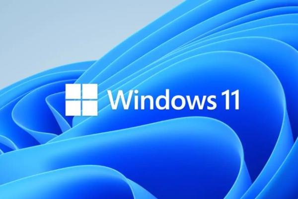 先别更新Win11！新BUG导致固态硬盘写入大文件后无法访问