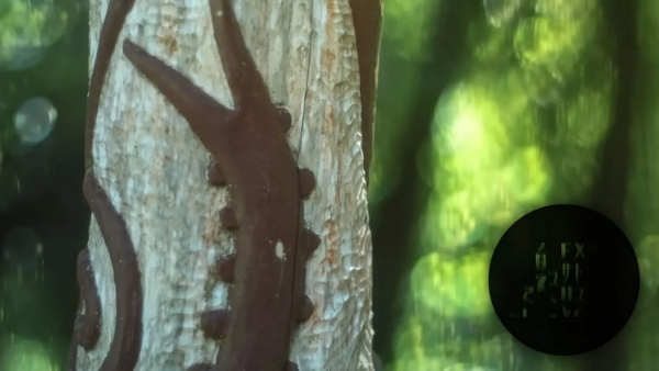 来自新西兰建筑工人脑洞，把液晶屏变成相机光圈