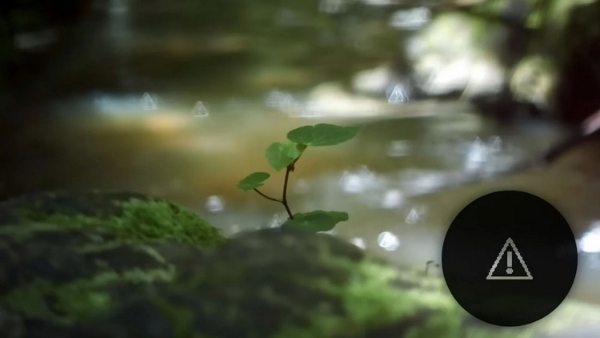 来自新西兰建筑工人脑洞，把液晶屏变成相机光圈