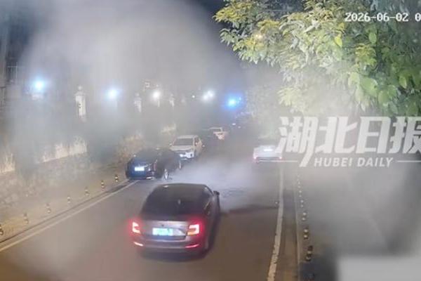 你也是个人才！一偷车贼不认识油门、刹车，拍照问豆包现学开车