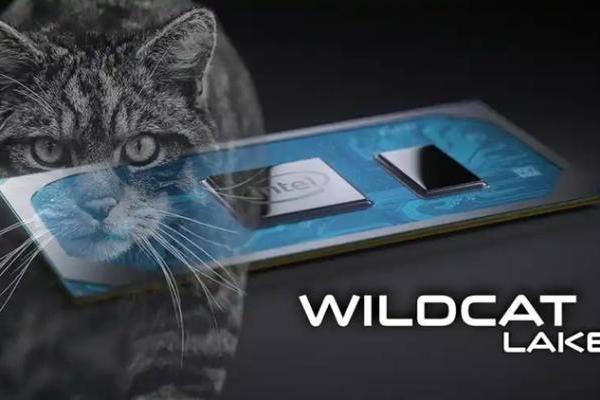 联想发布首款Wildcat Lake笔记本，7600元不像是入门级