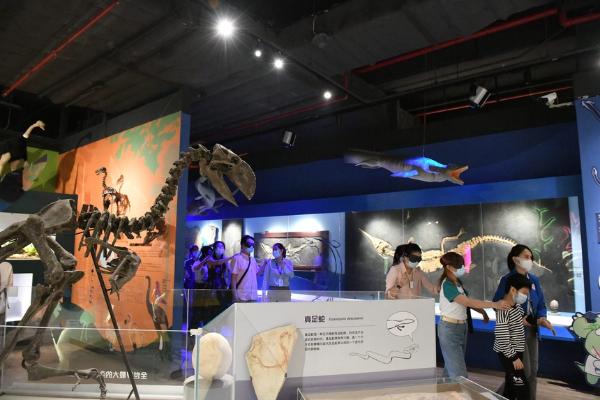 公共 | 广州正佳自然科学博物馆推出非视觉项目