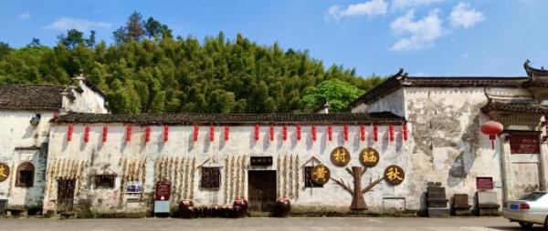在绚烂菊海中，拥抱金秋安徽醉美风景